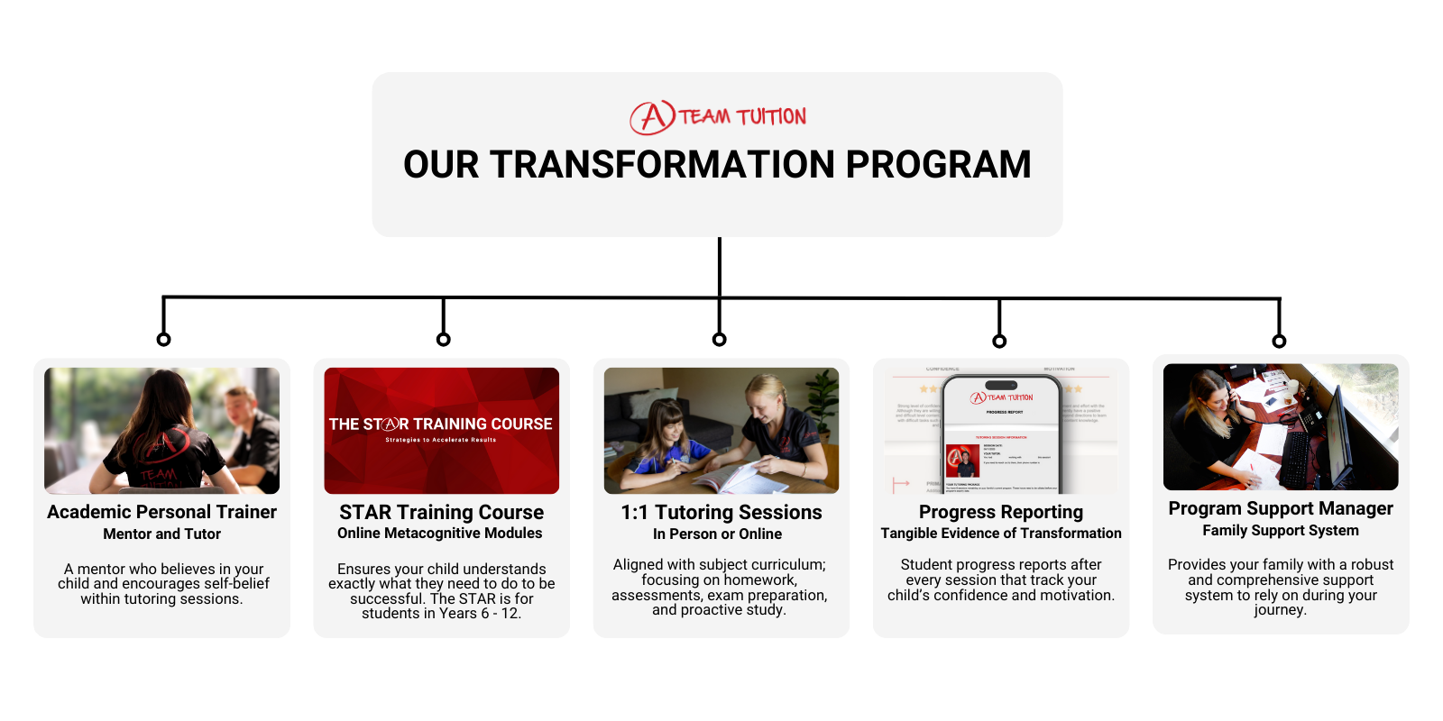 Transformation Program Graphic (3)