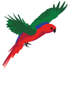 Benowa-Logo.png Benowa-Logo.png